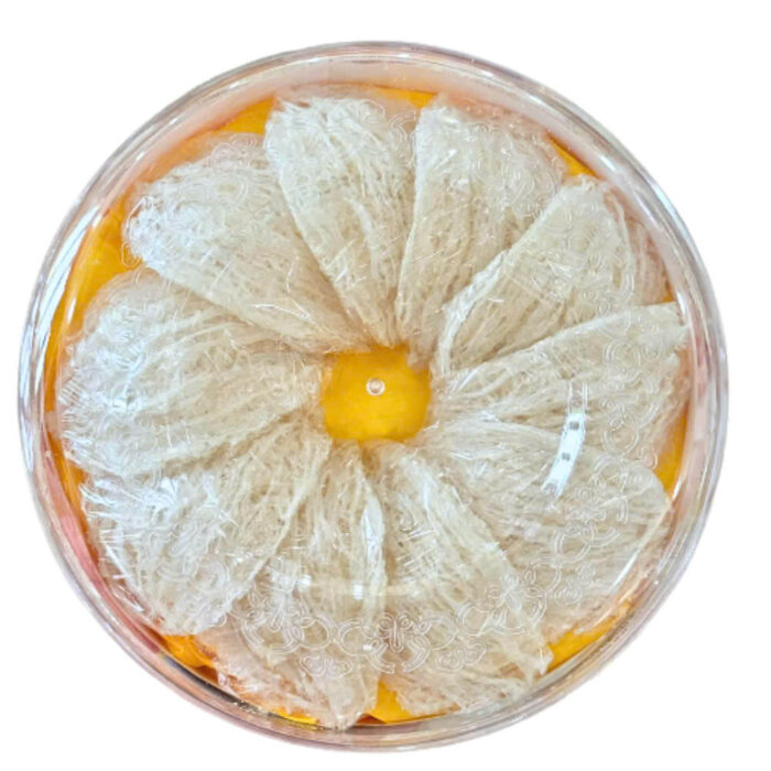 tổ-yến-tinh-chế-loại-1